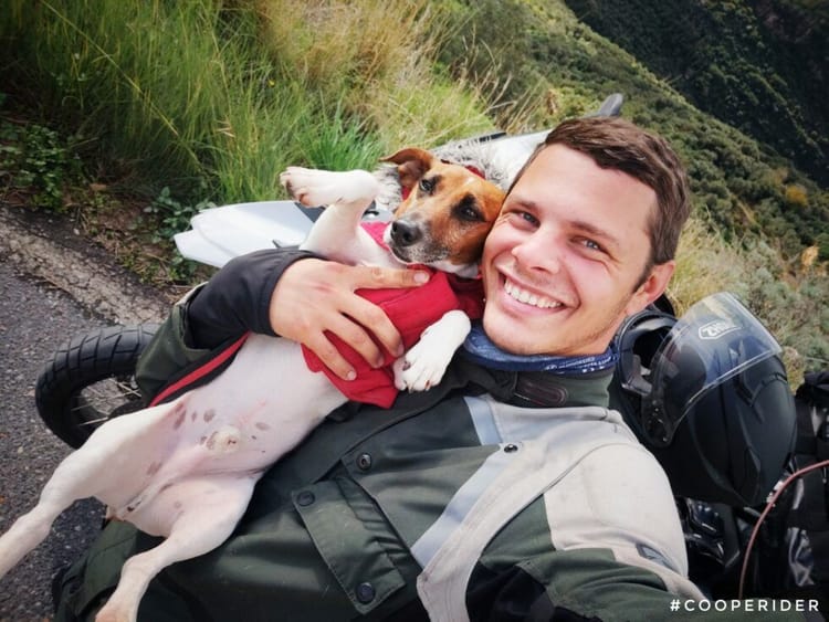 En mémoire de Cooper : notre compagnon de route pour toujours